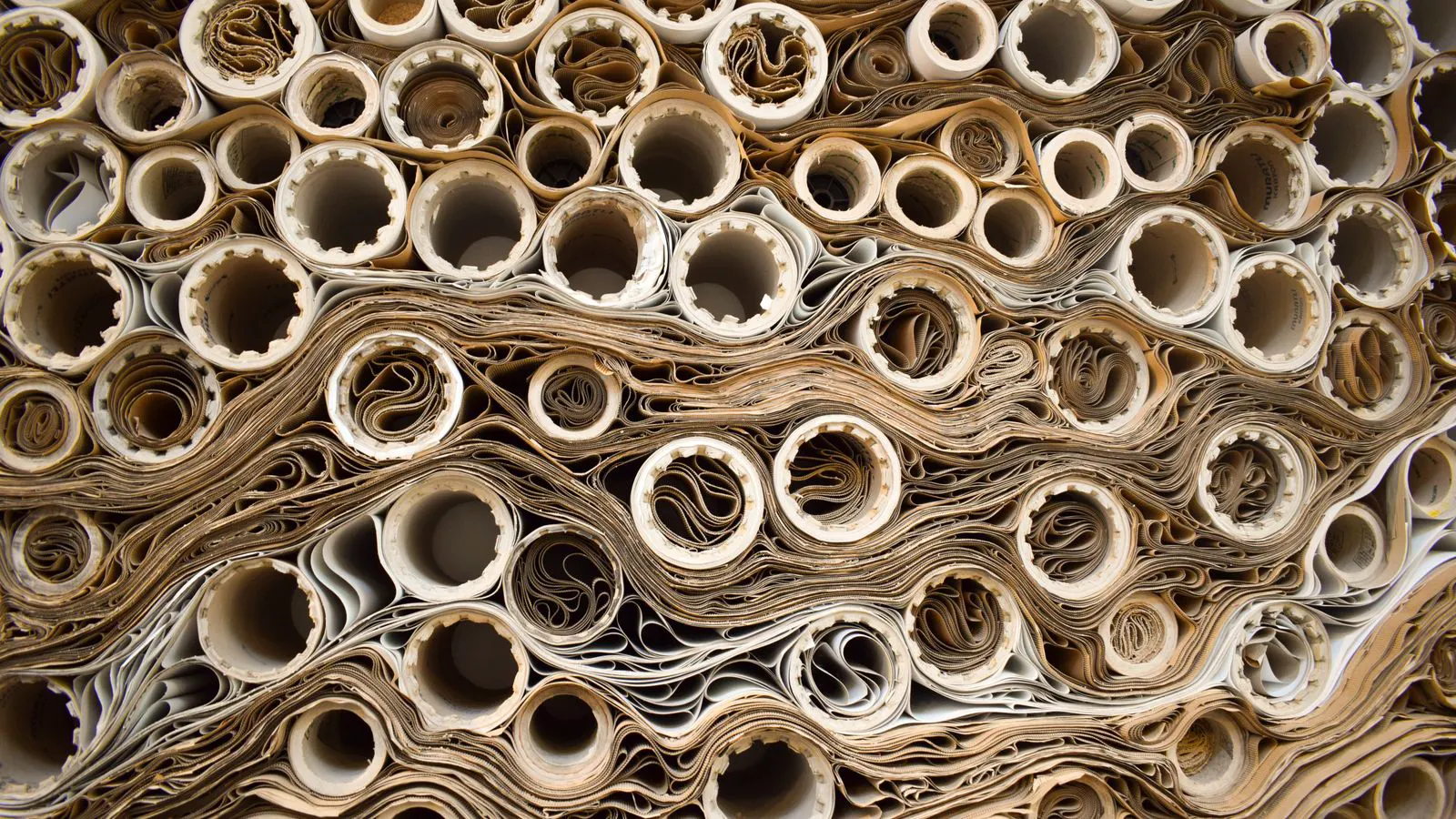 Neoprene and nitrile O-rings displayed for comparison on a workbench