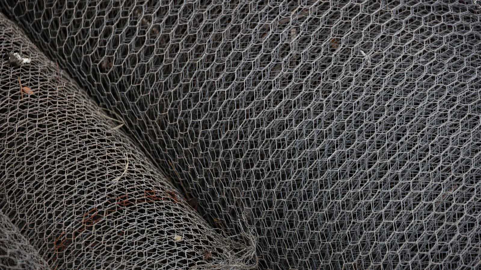 A close up view of steel hex bolts on a workbench