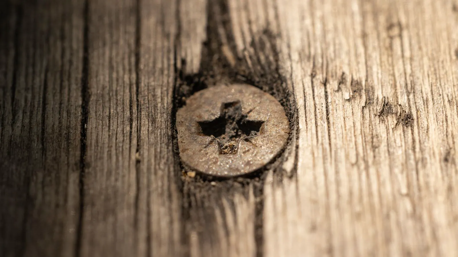 Close up of structural steel bolts on a connection plate
