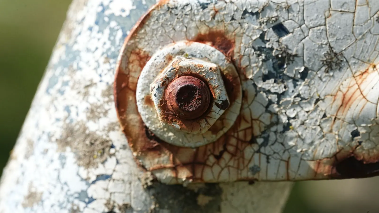 Zinc plated and stainless steel fasteners arranged side by side