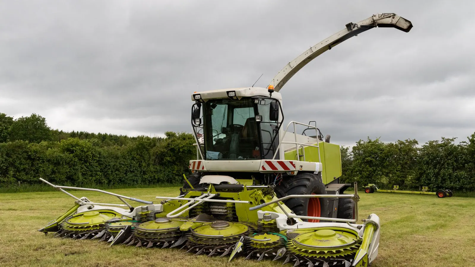 A forage harvester processing a field of standing grain crops.