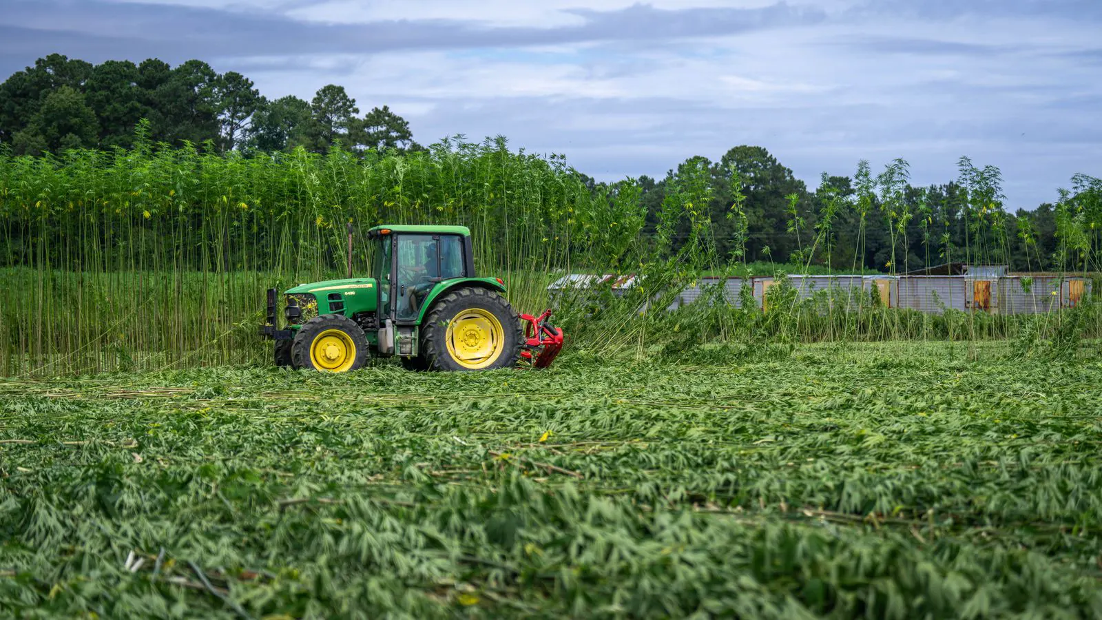 Two tractors parked in an open field for comparison