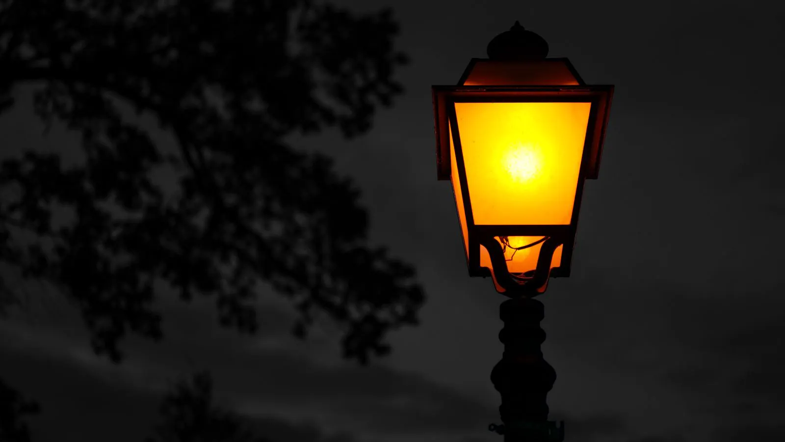 A single street lamp illuminating a quiet road at night