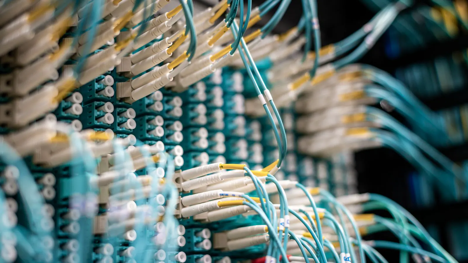 A rack of network switches with neatly organized and labeled cables.
