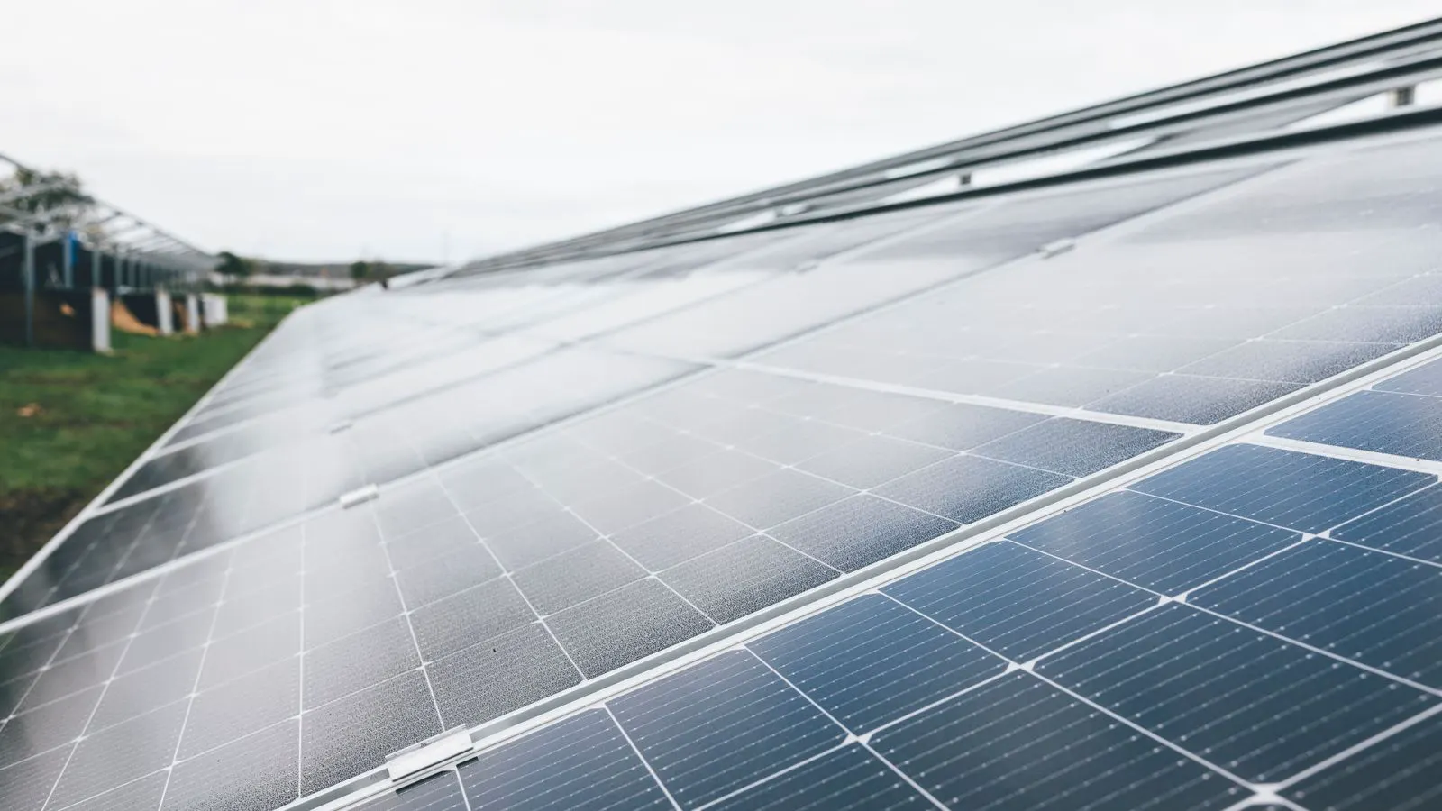 Pallets of solar panels stacked inside a shipping container