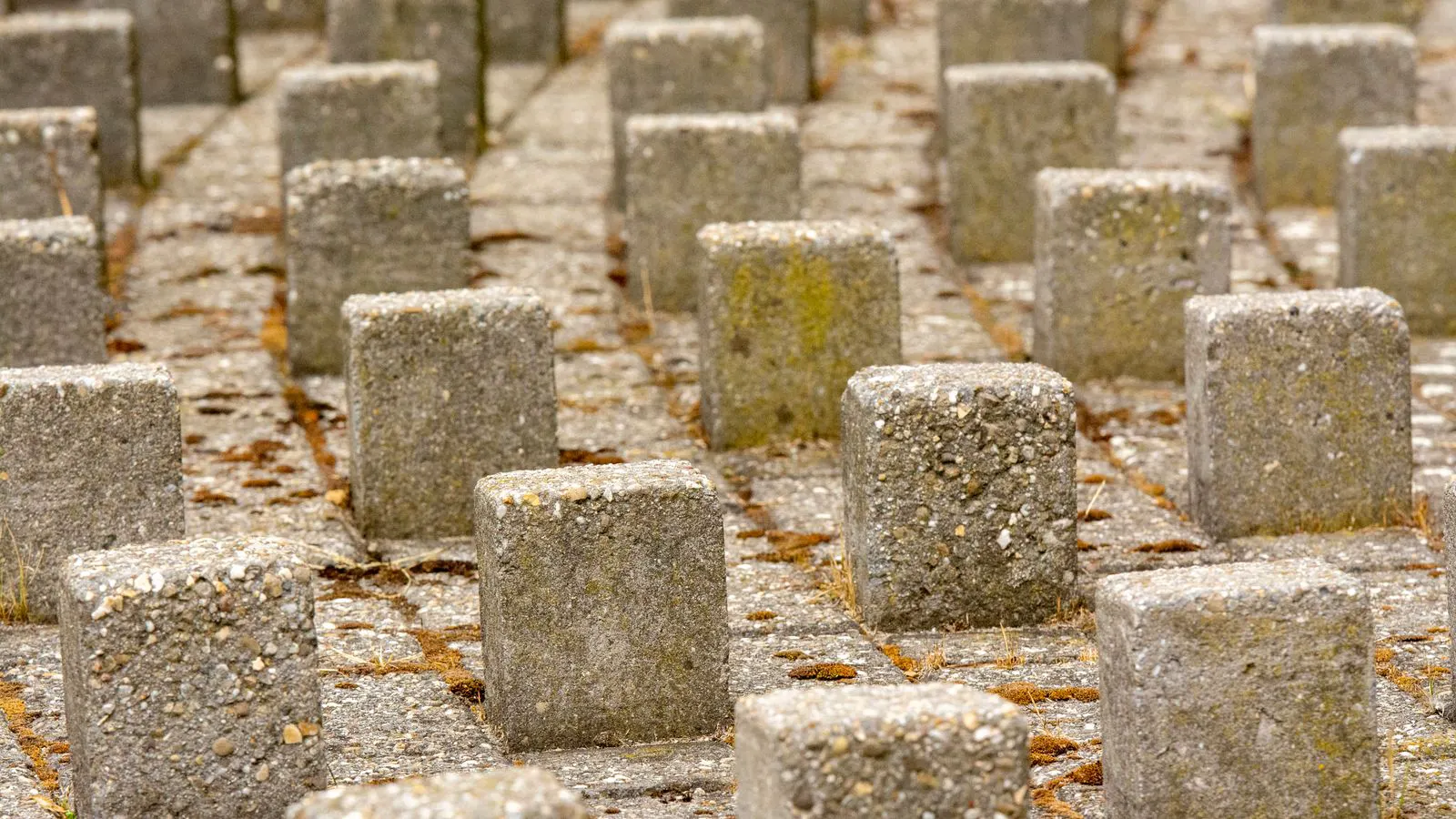 Concrete blocks positioned beside a solar array racking system.