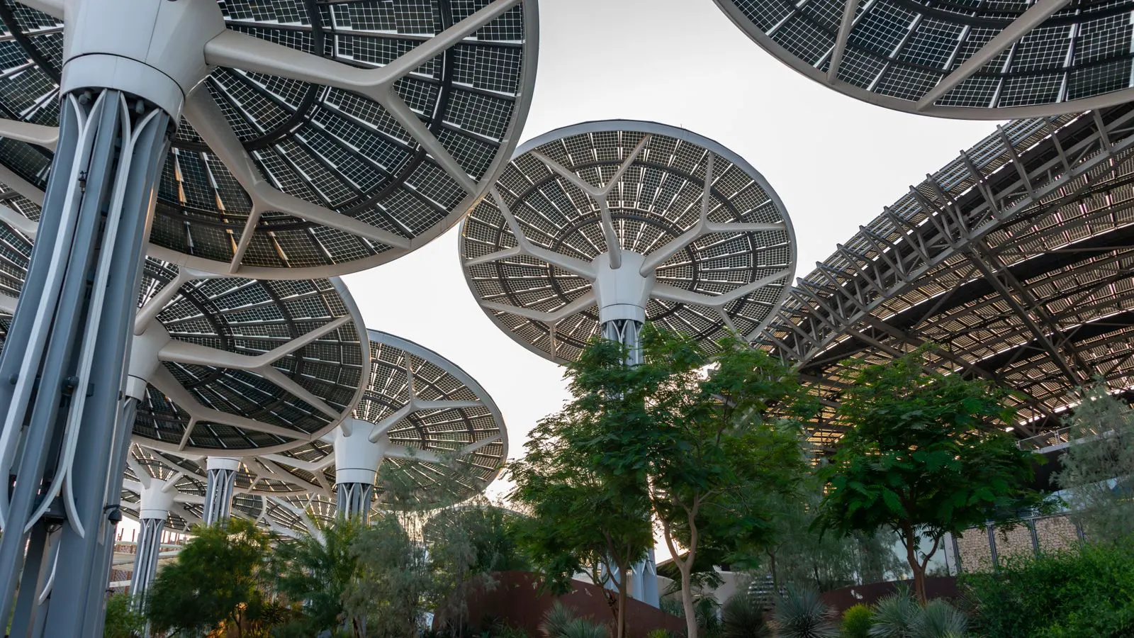 A modern solar tracking array with slim structural supports and visible mounting rails