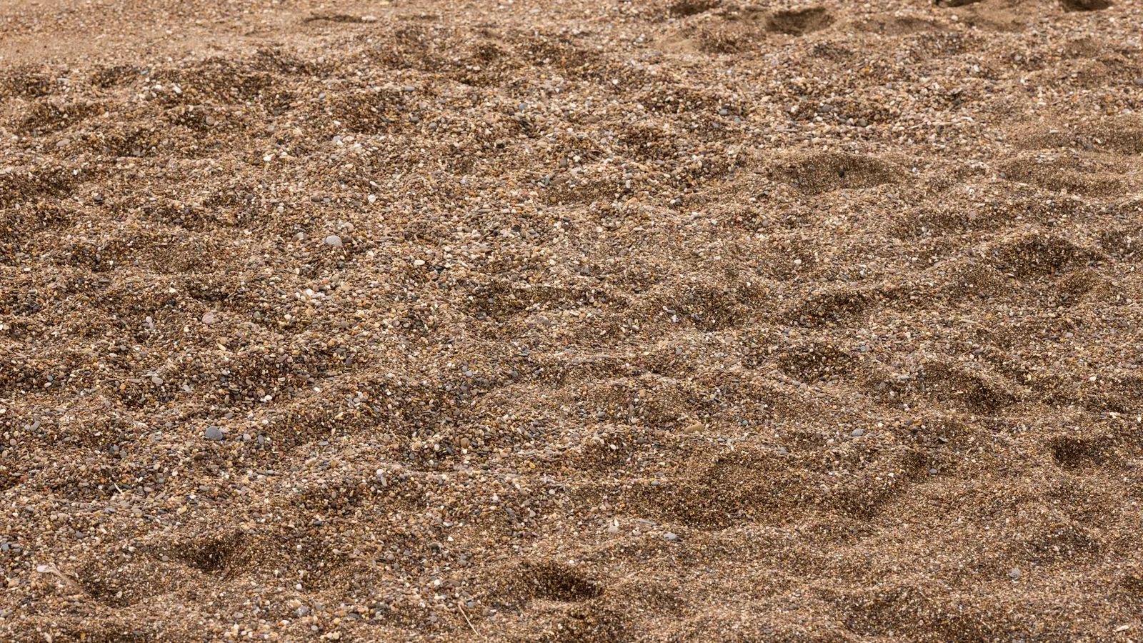 A cutaway view of a filter bed containing granular media.