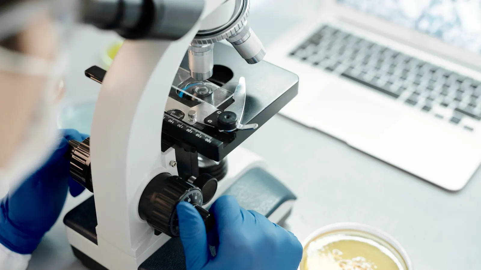 A technician inspecting rubber samples in a testing lab.