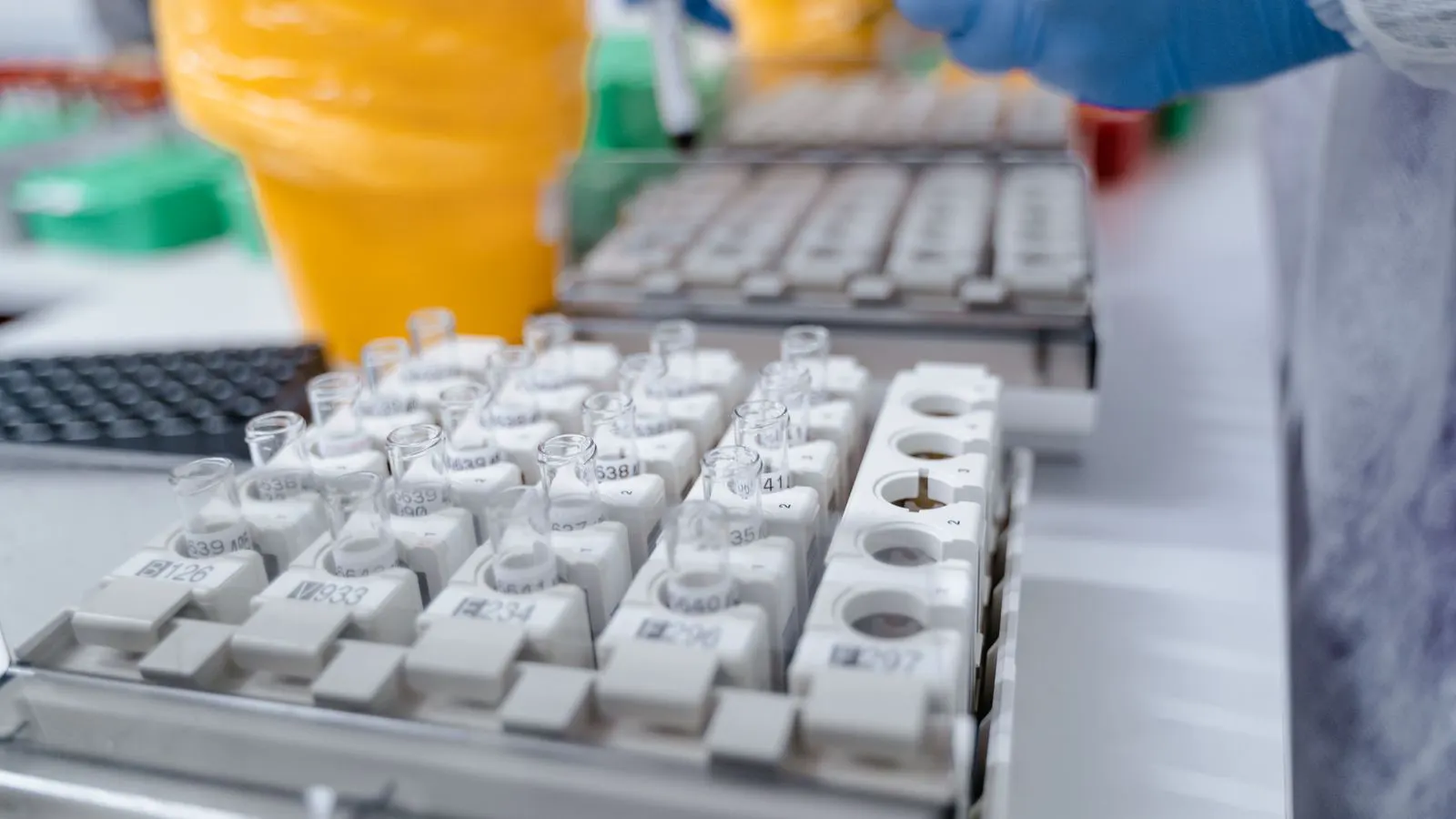 A laboratory bench holding clear beakers and a digital scale