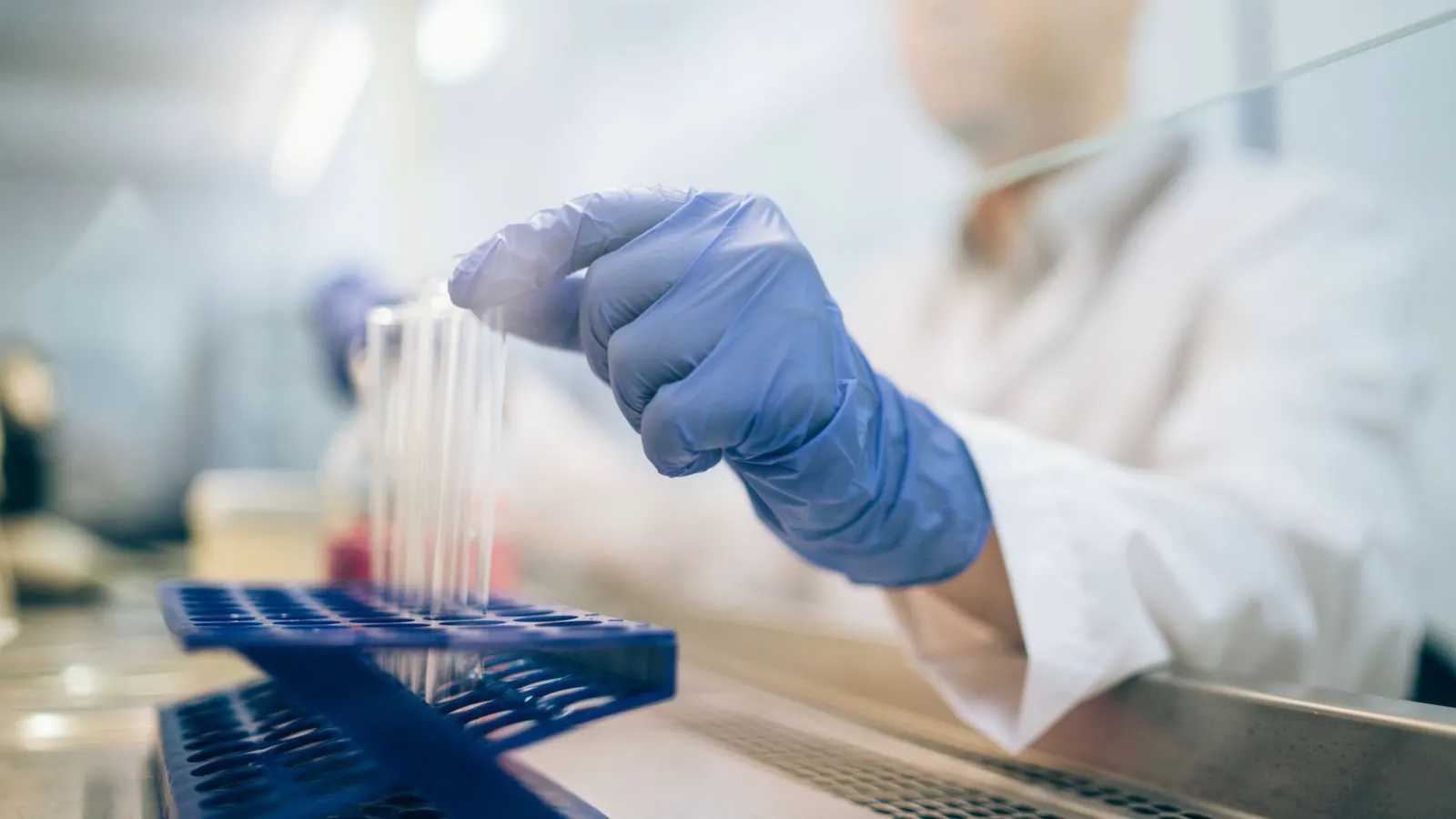 A laboratory technician performs coating adhesion testing on a prepared metal panel.
