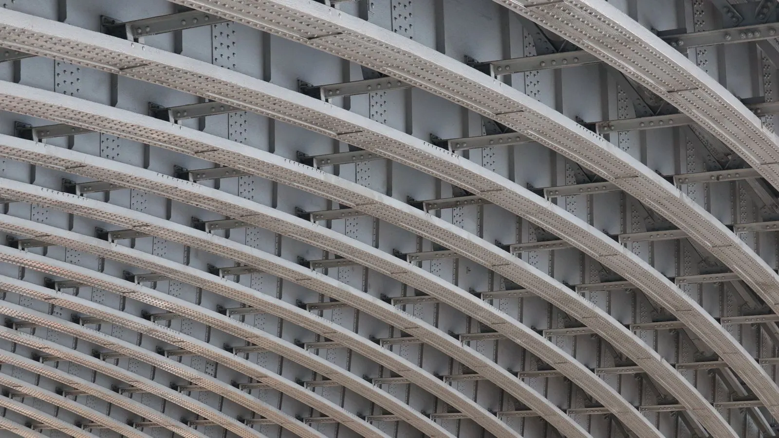 A steel building frame with columns and trusses