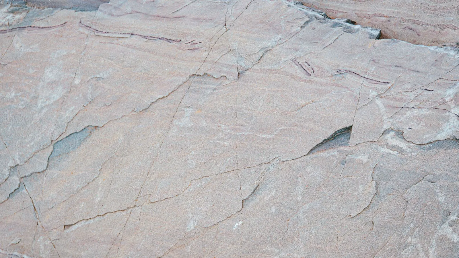 Polished quartzite surface showing tight grain structure