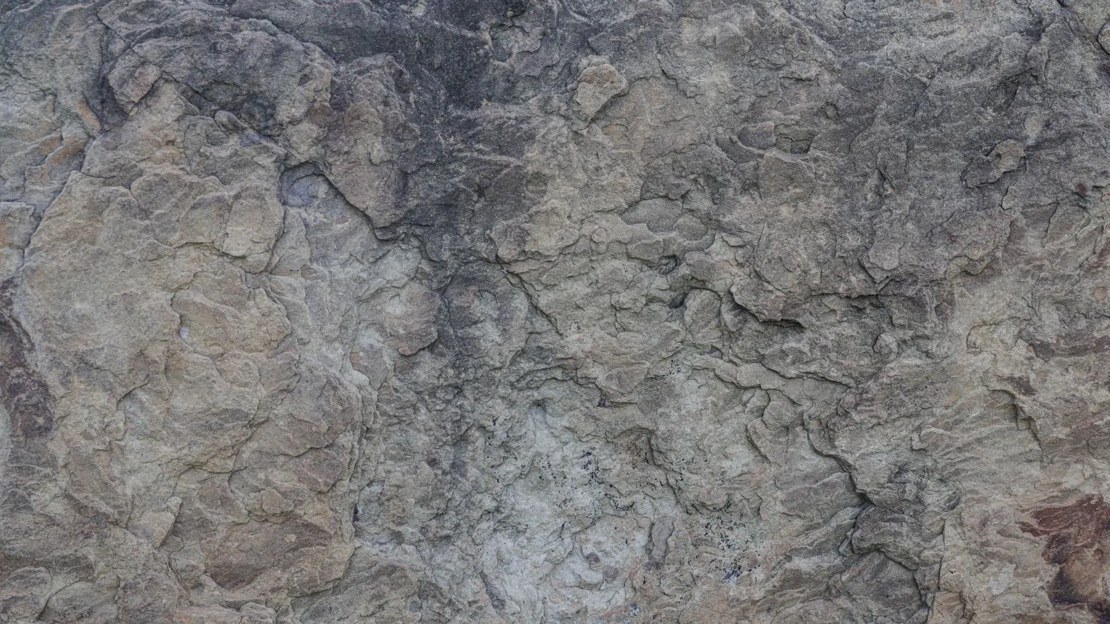 Close view of a rough textured granite surface showing consistent grain pattern
