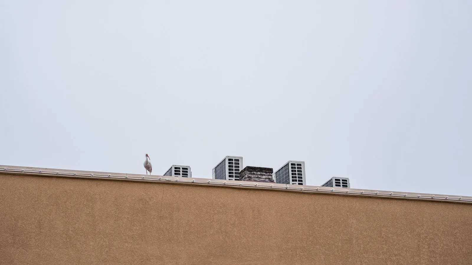 A large commercial hvac unit installed on a building roof