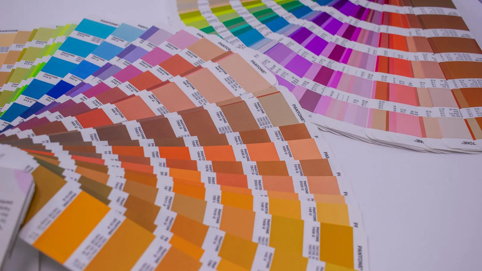 close up of specialty label stock samples with color swatches