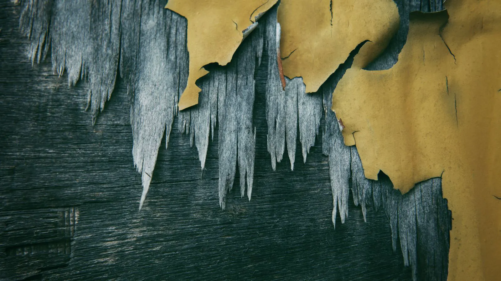 A close-up view of ink flaking off the edge of a printed adhesive label.