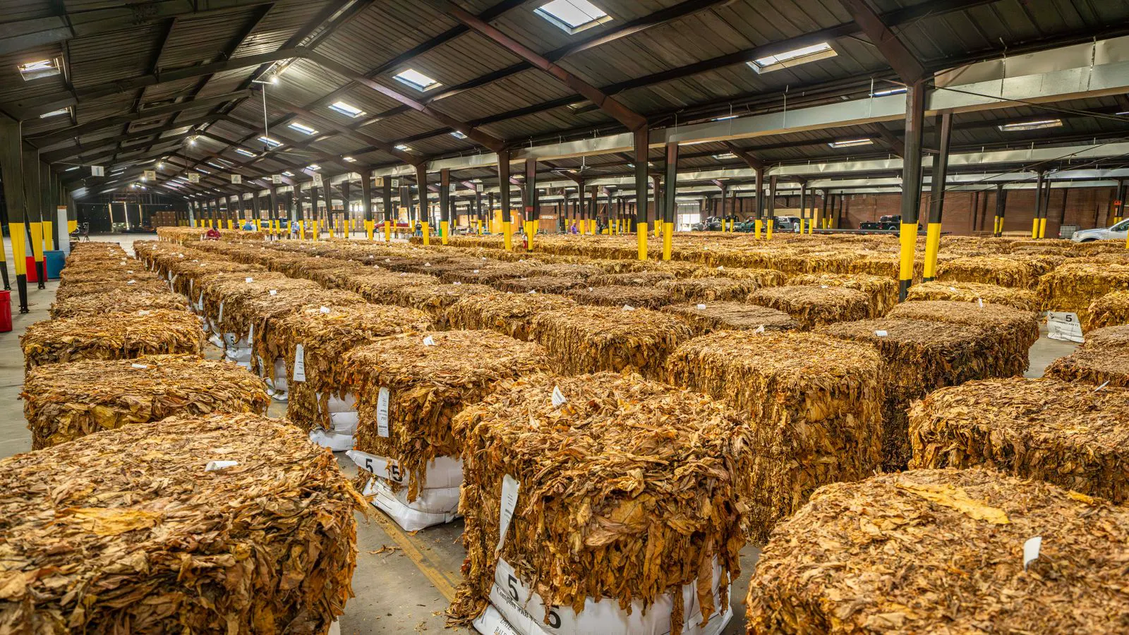 Rows of cotton bales stored inside a large warehouse