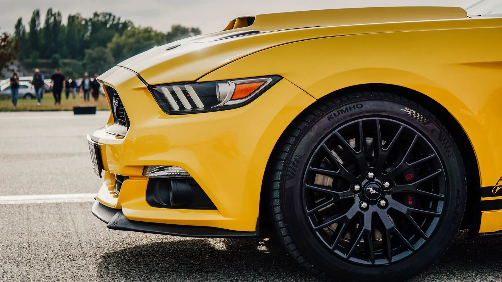 tires and wheels industry