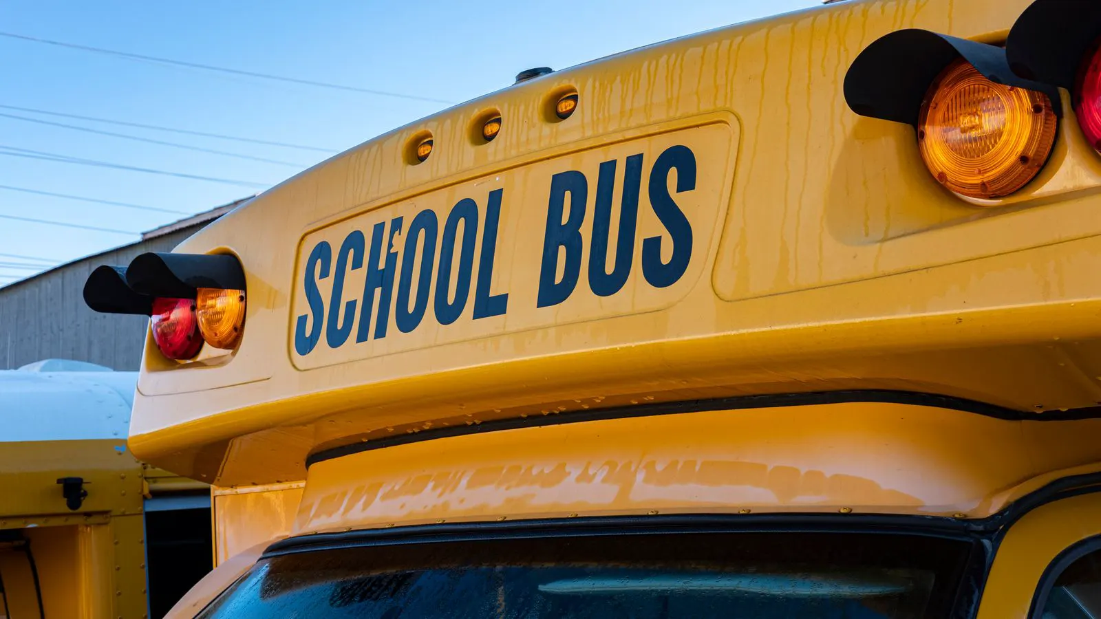 Close view of a commercial bus tire sidewall showing markings.