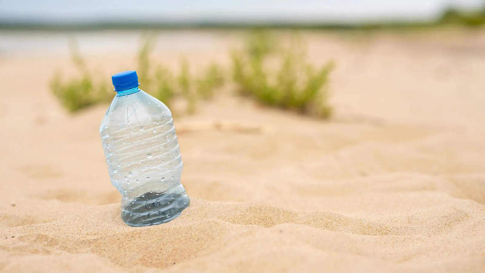 A close-up view of a clear plastic bottle showing a visible ring near the neck