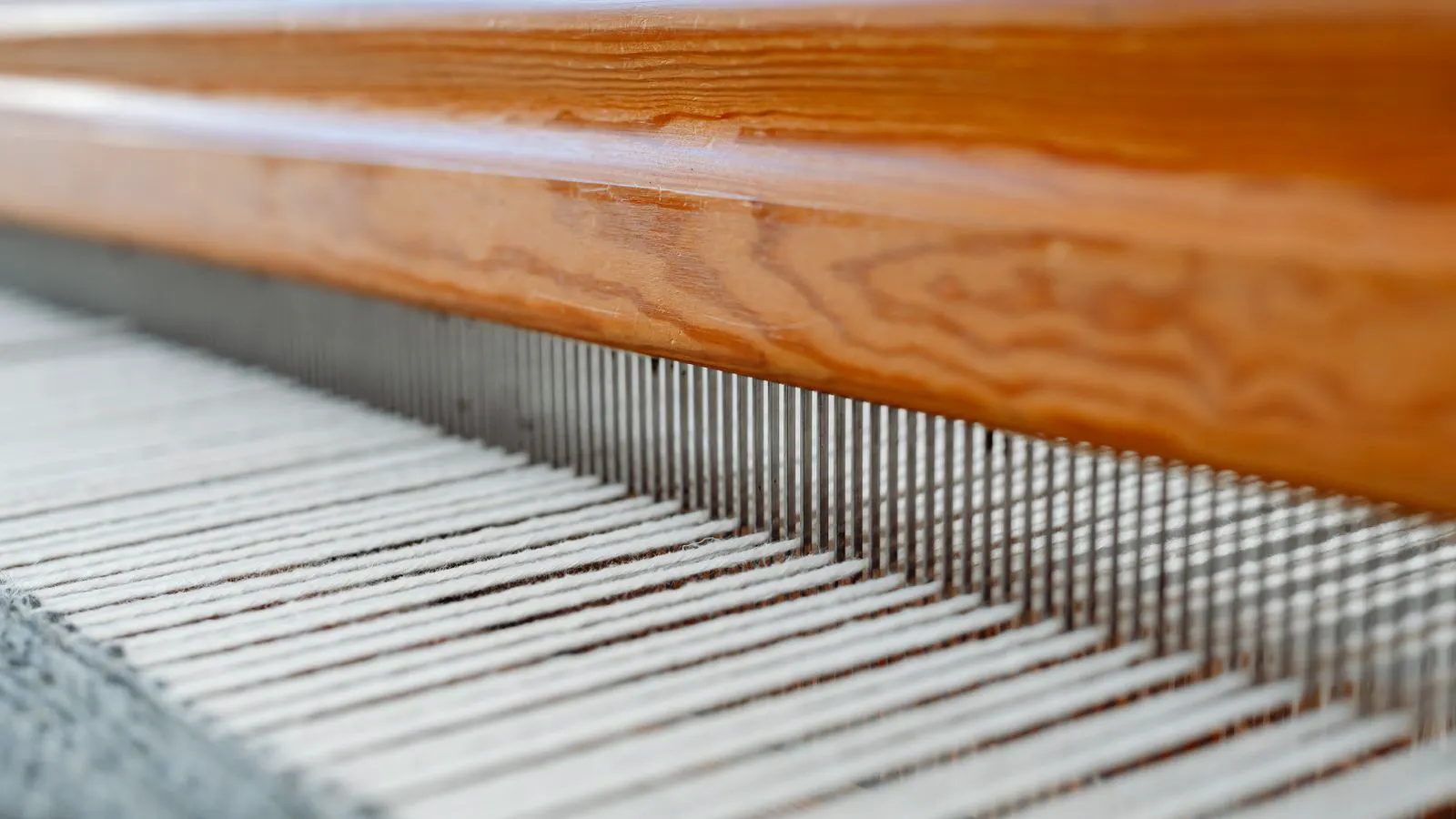 Close view of a power loom warp beam and warp threads