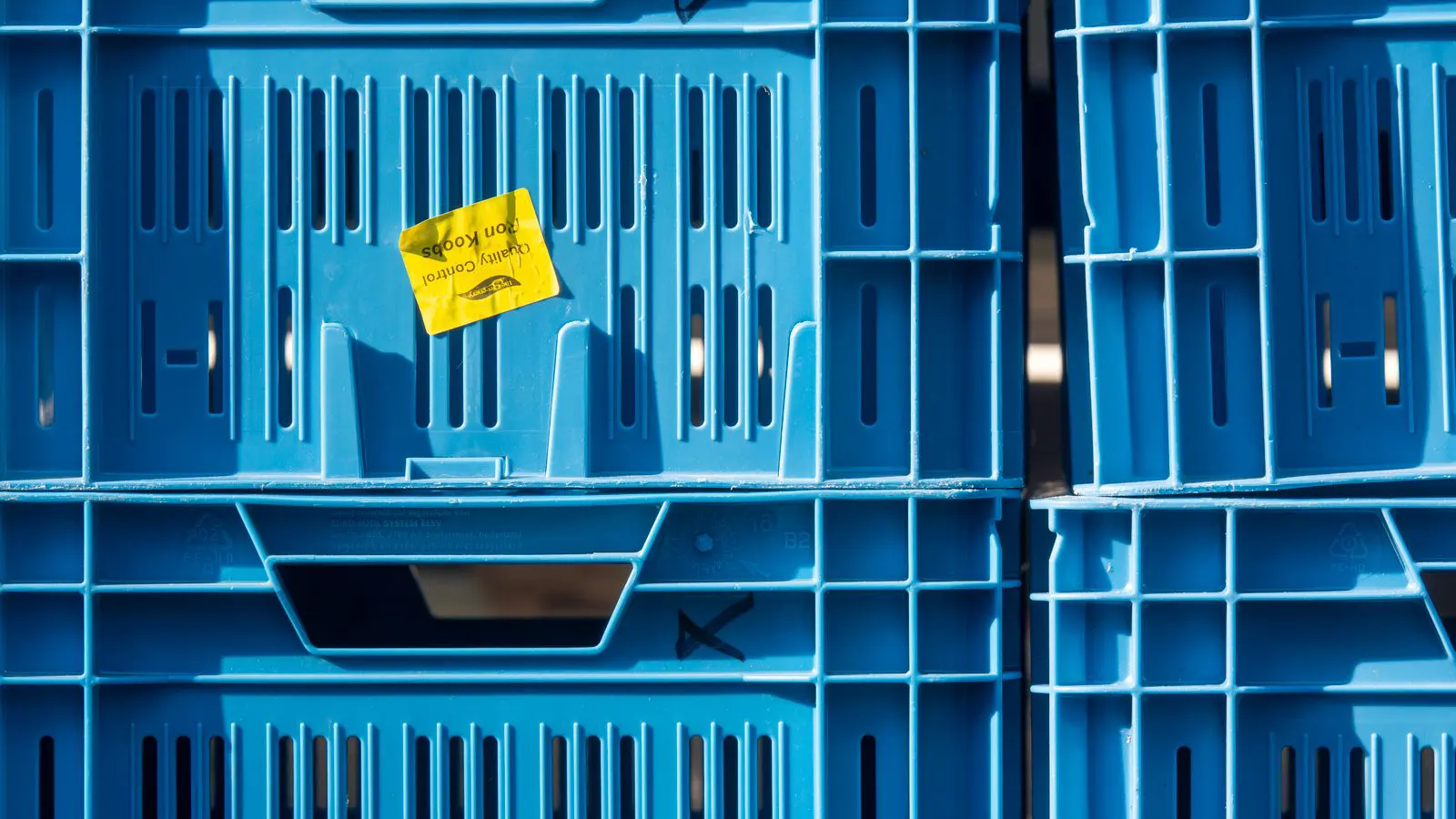 A close view of an injection molding machine producing plastic parts in a clean facility